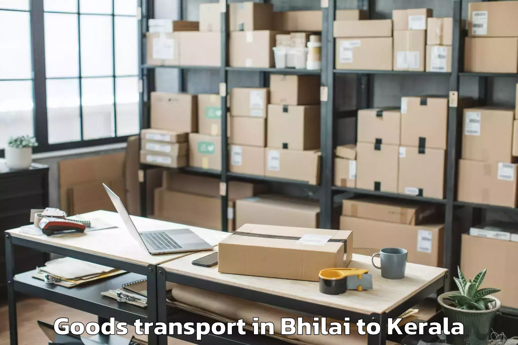 Leading Bhilai to Ambalapuzha Goods Transport Provider